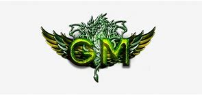 Image result for Metin2 GM Logo