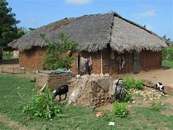 Image result for Tanzania Village