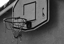 Image result for Professional Basketball Hoop