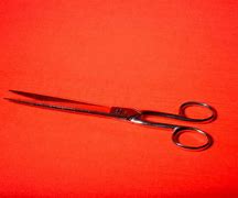 Image result for Hair Styling Scissors