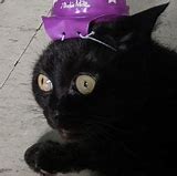 Image result for Wizard Cat Meme Template