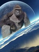 Image result for Harambe Heaven Pic