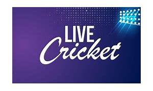 Image result for Flex Design On Cricket
