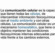 Image result for Comunicación Celular