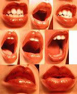 Image result for Mouth Reference Photo