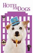 Image result for Cool Dog DVD