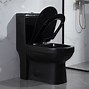 Image result for Black Toilet Side Flush
