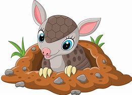 Image result for Funny Armadillo Cartoons