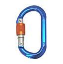 Image result for Blue Carabiner