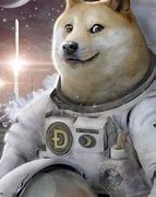 Image result for Doge Space Meme