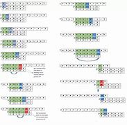 Image result for Prefix Matching Algorithm