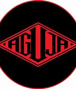 Image result for agujuela