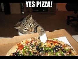 Image result for Cat Dressed a a Pizza Meme