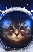 Image result for Glasses Cat Galaxy Wallpaper