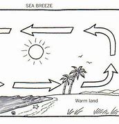 Image result for Blank Sea Breeze Diagram