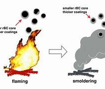 Image result for Biomass Burning