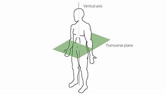 Image result for Vertical Axis