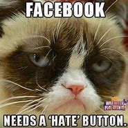 Image result for Funny Grumpy Cat Quotes