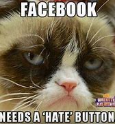 Image result for Facebook Cat Meme
