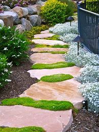 Image result for Front Yard Stepping Stones