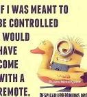 Image result for Roblox Minion Meme