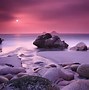 Image result for Purple Ocean