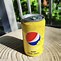 Image result for Biggest Pepsi Soda Can