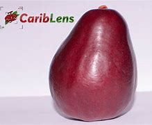 Image result for 1 Jamaican Apple