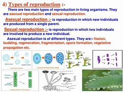 Image result for Reproduction Types