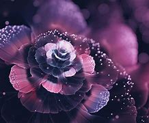 Image result for Abstract Flower Screensavers