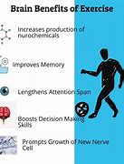 Image result for Benefits of Pe