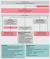 Image result for CPR Algorithm UK