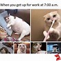 Image result for No Sleep Funny Memes