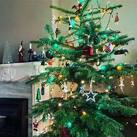 Image result for Christmas Tree with Color Coded Branches