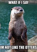 Image result for Baby River Otter Memes