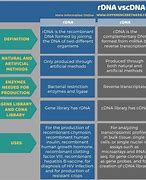 Image result for DNA vs cDNA