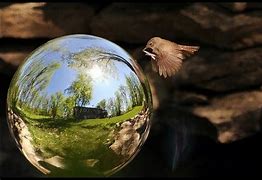 Image result for Mirror Reflection Background