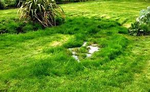 Image result for Broken Wire in Field