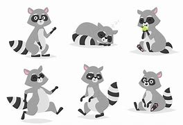 Image result for Bob the Raccon