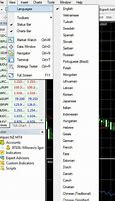 Image result for MetaTrader Language