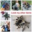 Image result for Colorful Spider Toys