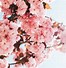 Image result for Flower Background Tumblr iPhone