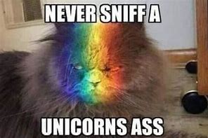 Image result for Hilarious Unicorns