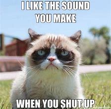 Image result for Grumpy Cat Love Meme