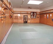 Image result for Martial Arts Layout