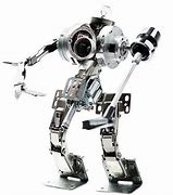 Image result for The Luxury Robot