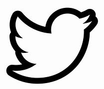 Image result for White Twitter Logo Icon
