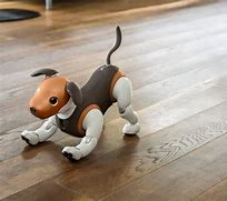 Image result for Robot Dog Japan