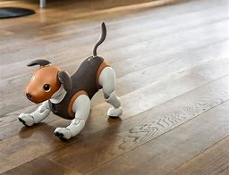 Image result for Pet Robot Aibo