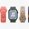 Image result for Apple iOS Watch Series Picture